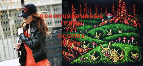 ПСИЛОЦИБИНОВЫЕ ГРИБЫ Фёдоровский